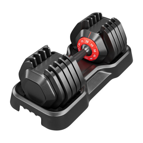 Adjustable Dumbbell Set | 10-in-1 Quick-Adjust Up to 55 lbs