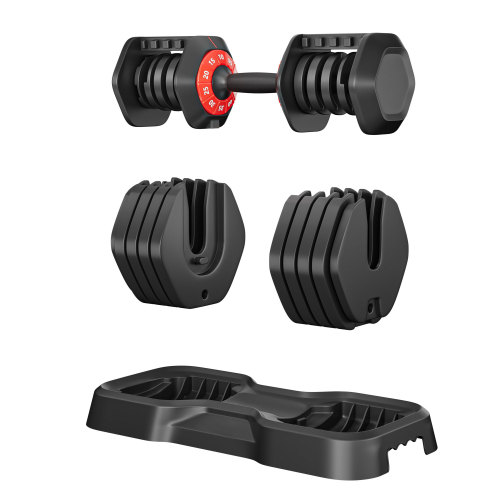 Adjustable Dumbbell Set | 10-in-1 Quick-Adjust Up to 55 lbs